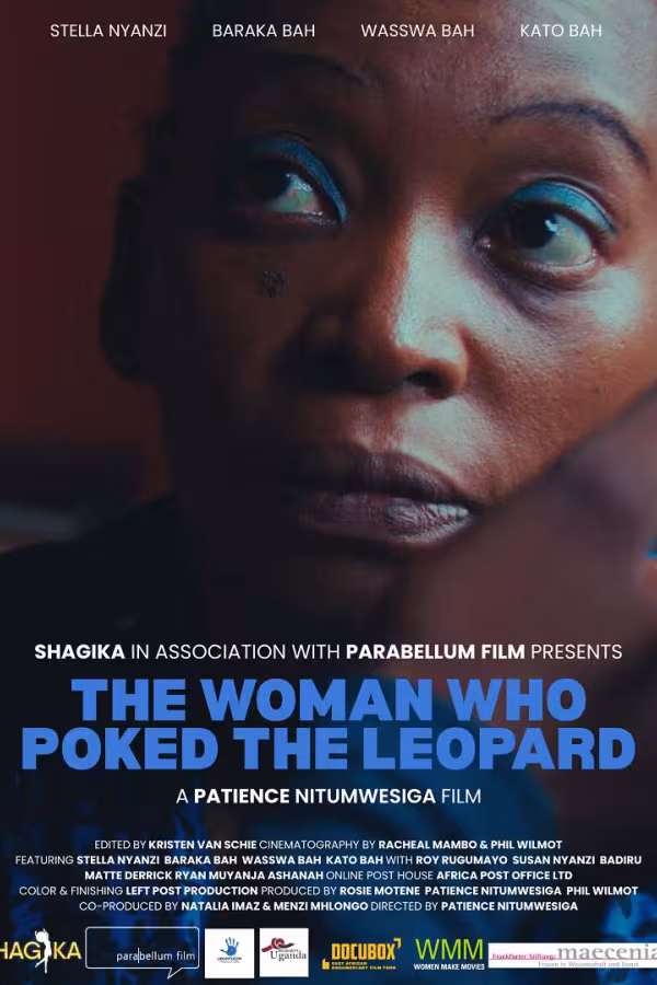 The Woman Who Poked the Leopard poster